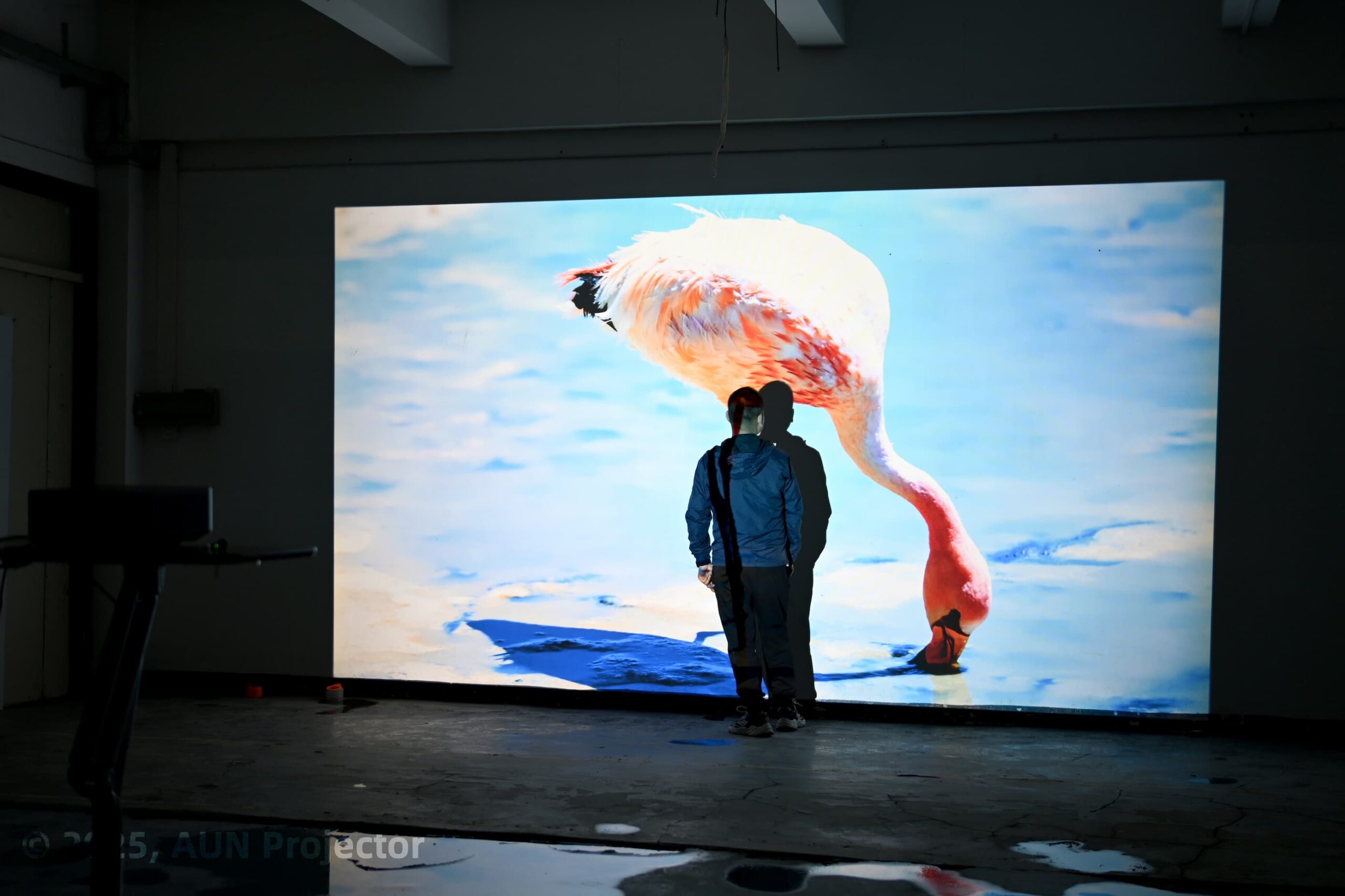 Real projection photo, shot on the AUN U002 Pro